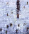 Katherine Armacost Chapel Hill Artist North Carolina Artist Oil Painting
