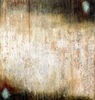 Katherine Armacost Chapel Hill Artist North Carolina Artist Oil Painting